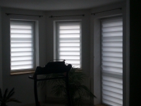 Rolety DEN -NOC